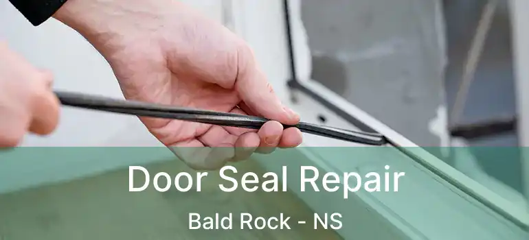  Door Seal Repair Bald Rock - NS