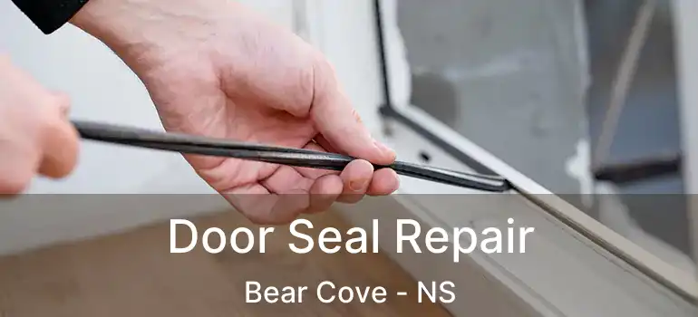  Door Seal Repair Bear Cove - NS