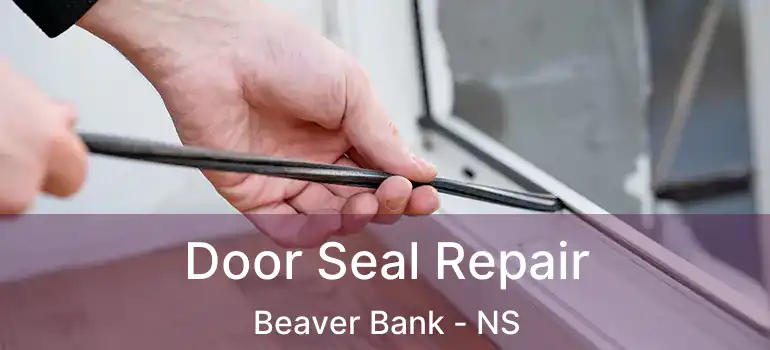  Door Seal Repair Beaver Bank - NS