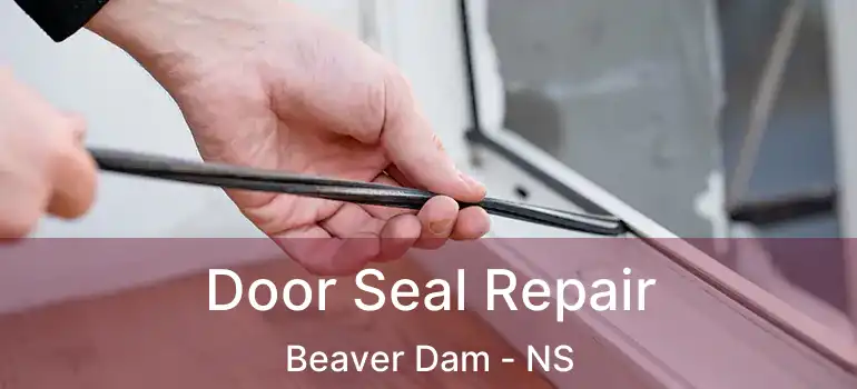  Door Seal Repair Beaver Dam - NS