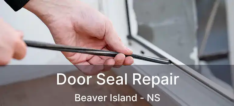  Door Seal Repair Beaver Island - NS