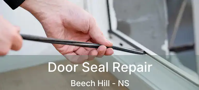  Door Seal Repair Beech Hill - NS