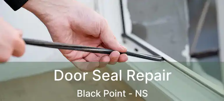  Door Seal Repair Black Point - NS