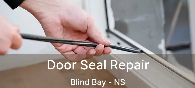  Door Seal Repair Blind Bay - NS