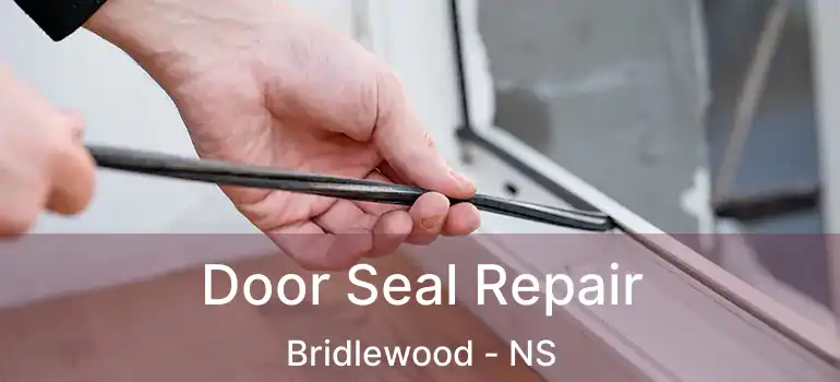  Door Seal Repair Bridlewood - NS