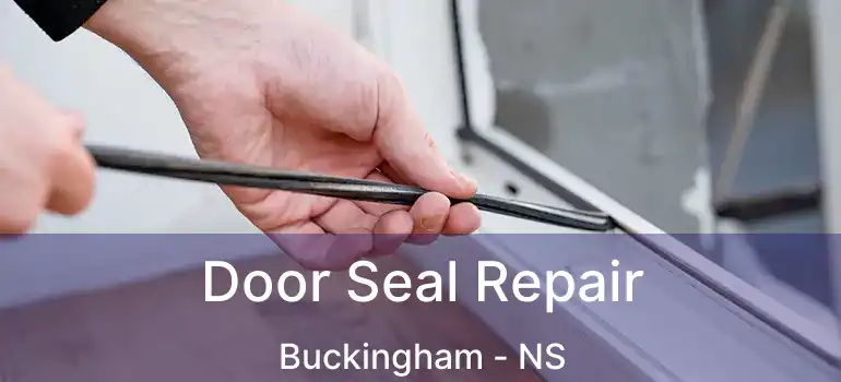  Door Seal Repair Buckingham - NS