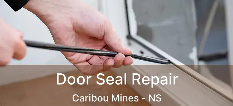  Door Seal Repair Caribou Mines - NS