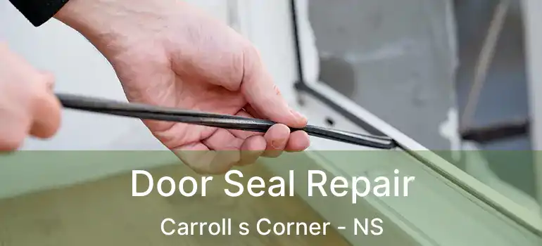  Door Seal Repair Carroll s Corner - NS