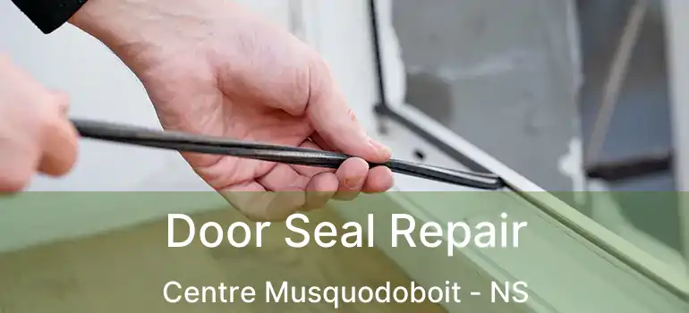  Door Seal Repair Centre Musquodoboit - NS