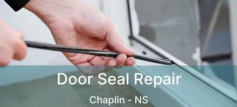  Door Seal Repair Chaplin - NS