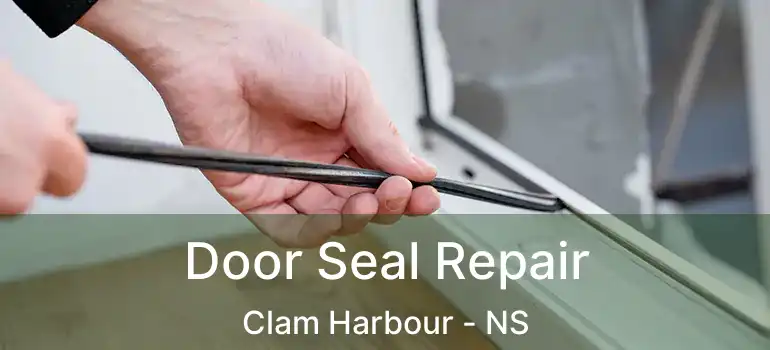  Door Seal Repair Clam Harbour - NS