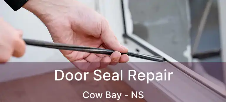  Door Seal Repair Cow Bay - NS