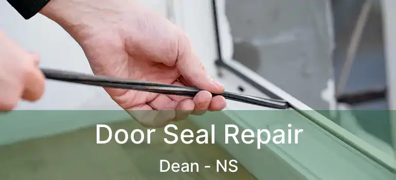  Door Seal Repair Dean - NS