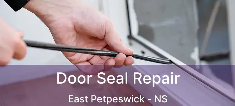  Door Seal Repair East Petpeswick - NS