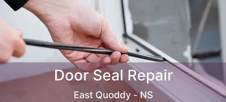  Door Seal Repair East Quoddy - NS