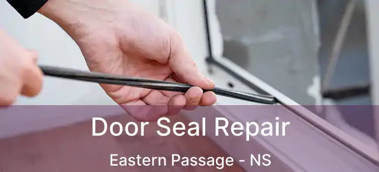  Door Seal Repair Eastern Passage - NS