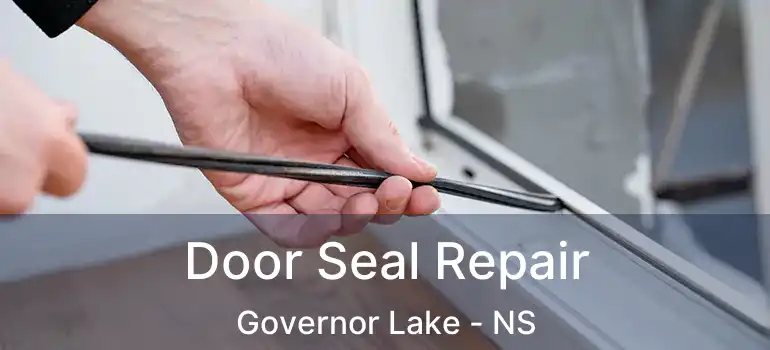  Door Seal Repair Governor Lake - NS