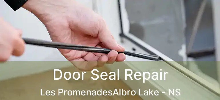  Door Seal Repair Les PromenadesAlbro Lake - NS