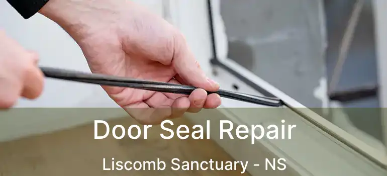  Door Seal Repair Liscomb Sanctuary - NS