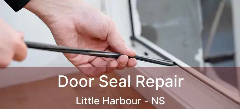  Door Seal Repair Little Harbour - NS