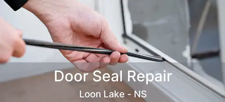  Door Seal Repair Loon Lake - NS