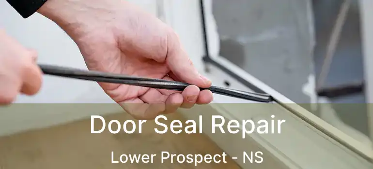  Door Seal Repair Lower Prospect - NS