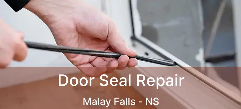  Door Seal Repair Malay Falls - NS