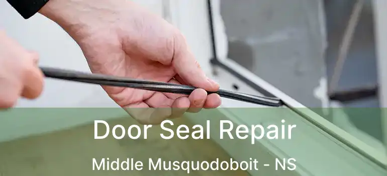  Door Seal Repair Middle Musquodoboit - NS