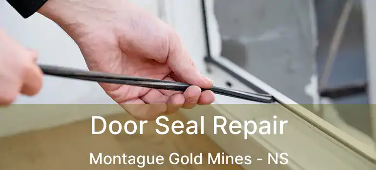  Door Seal Repair Montague Gold Mines - NS