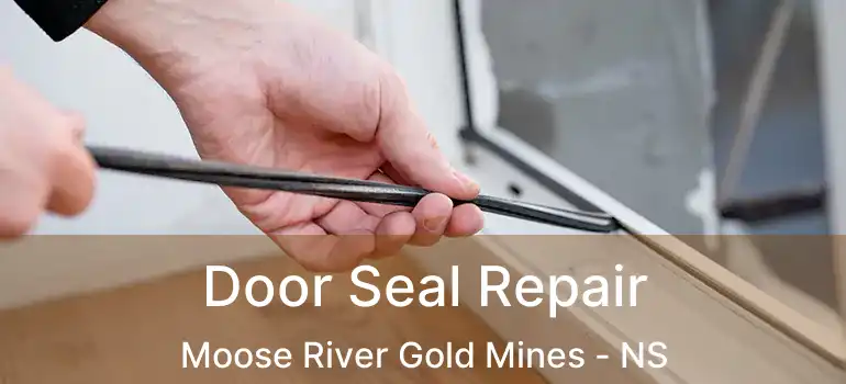  Door Seal Repair Moose River Gold Mines - NS