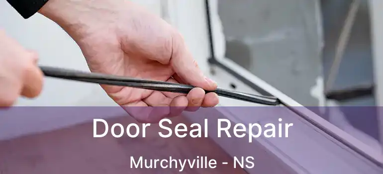  Door Seal Repair Murchyville - NS