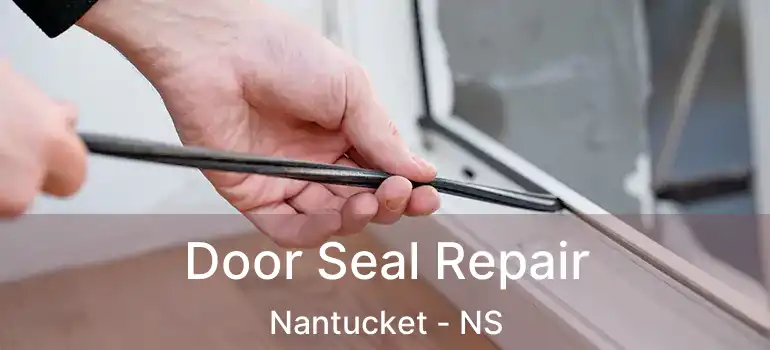  Door Seal Repair Nantucket - NS