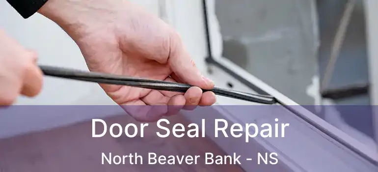  Door Seal Repair North Beaver Bank - NS