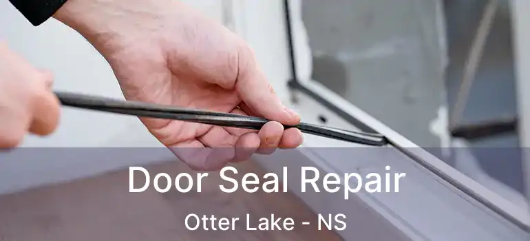  Door Seal Repair Otter Lake - NS