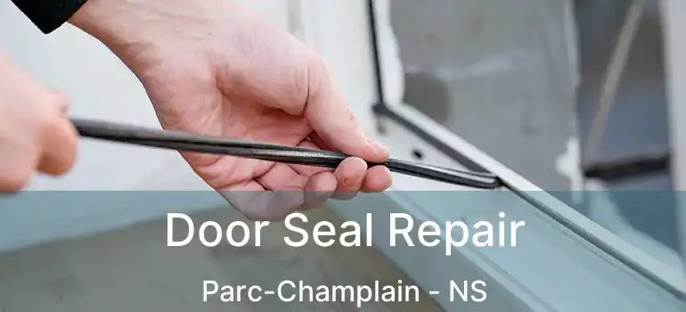  Door Seal Repair Parc-Champlain - NS