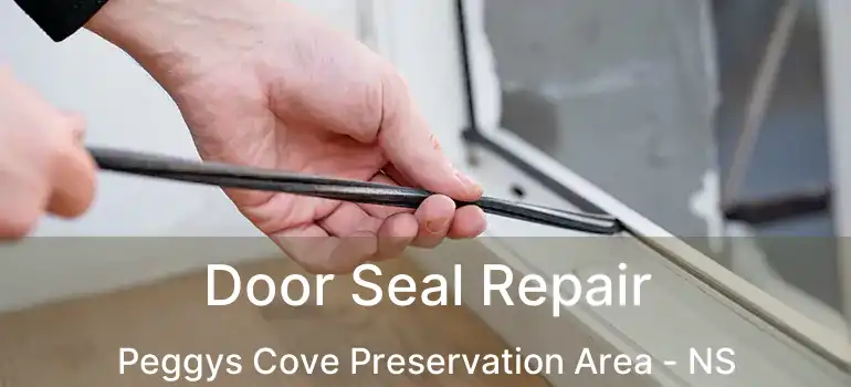  Door Seal Repair Peggys Cove Preservation Area - NS