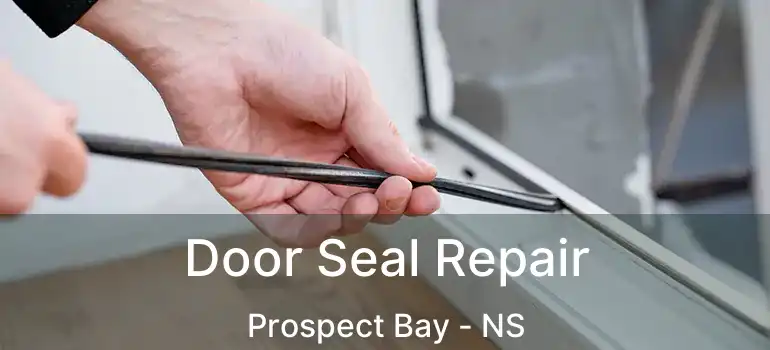  Door Seal Repair Prospect Bay - NS