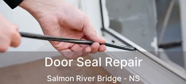  Door Seal Repair Salmon River Bridge - NS