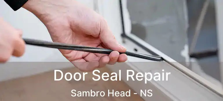  Door Seal Repair Sambro Head - NS