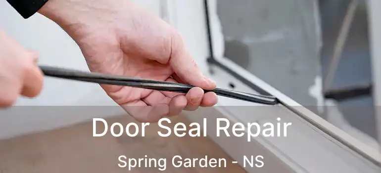  Door Seal Repair Spring Garden - NS