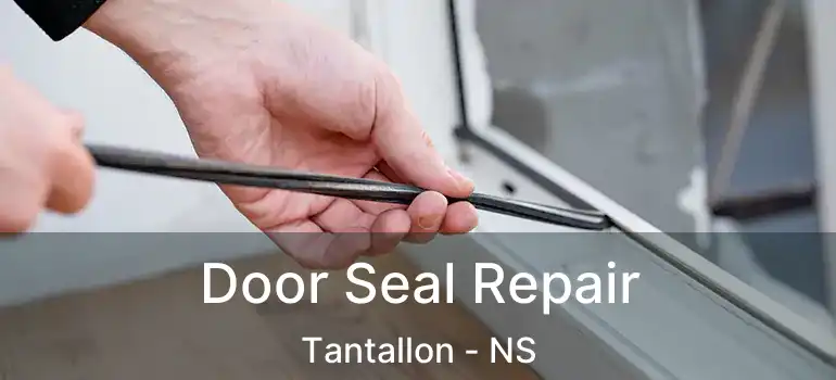  Door Seal Repair Tantallon - NS