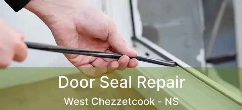  Door Seal Repair West Chezzetcook - NS