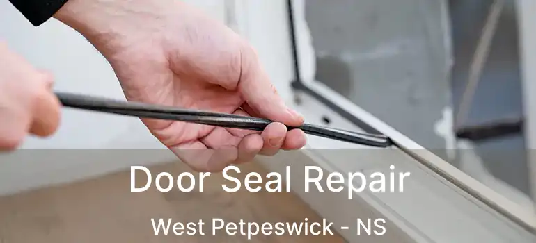  Door Seal Repair West Petpeswick - NS