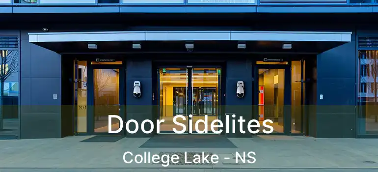  Door Sidelites College Lake - NS