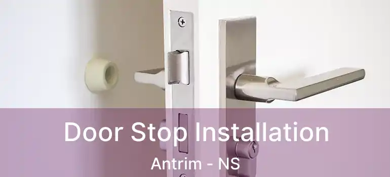  Door Stop Installation Antrim - NS