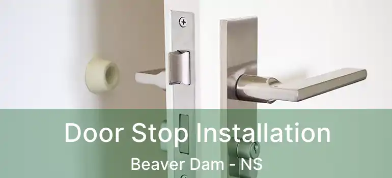  Door Stop Installation Beaver Dam - NS