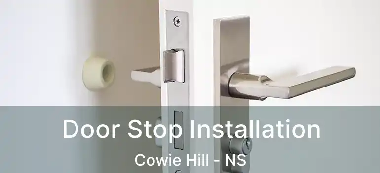  Door Stop Installation Cowie Hill - NS