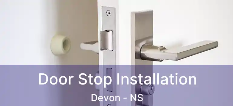  Door Stop Installation Devon - NS