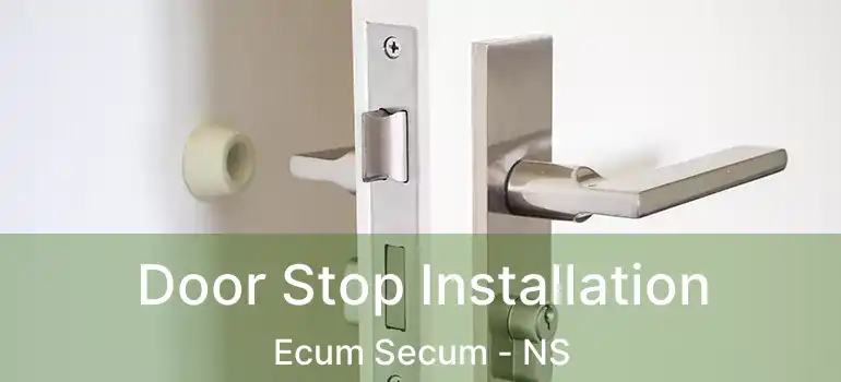  Door Stop Installation Ecum Secum - NS