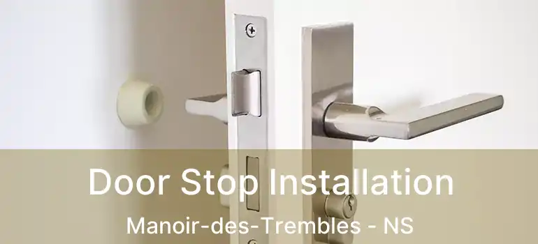  Door Stop Installation Manoir-des-Trembles - NS